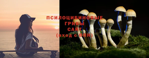 стаф Алексеевка