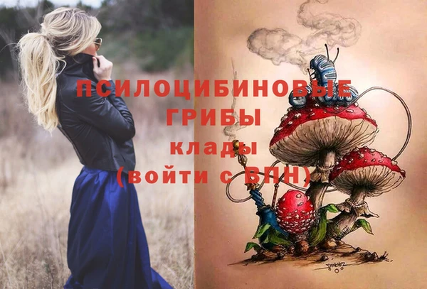 стаф Алексеевка